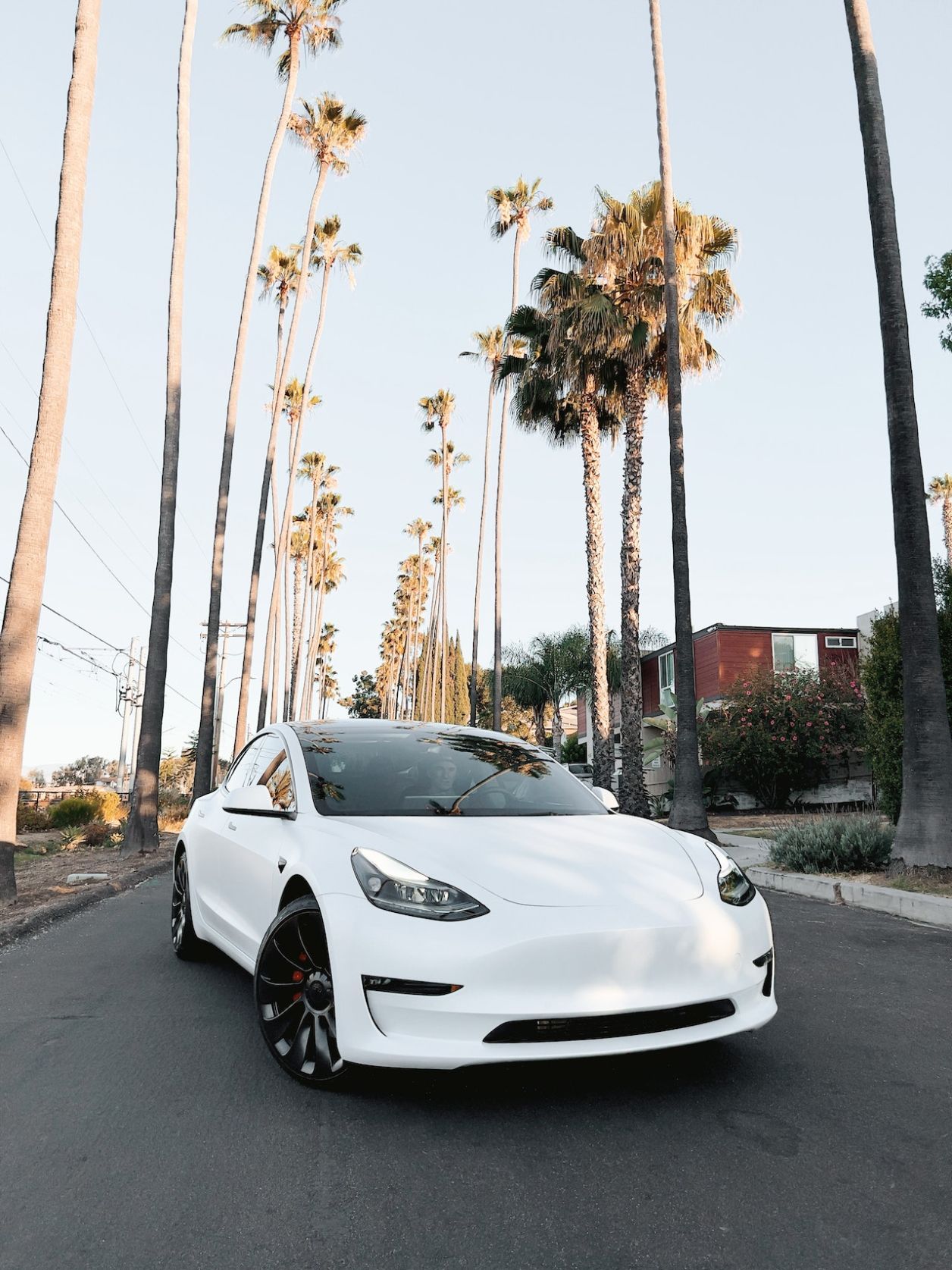 Le Tesla Model Y : Le SUV électrique révolutionnaire